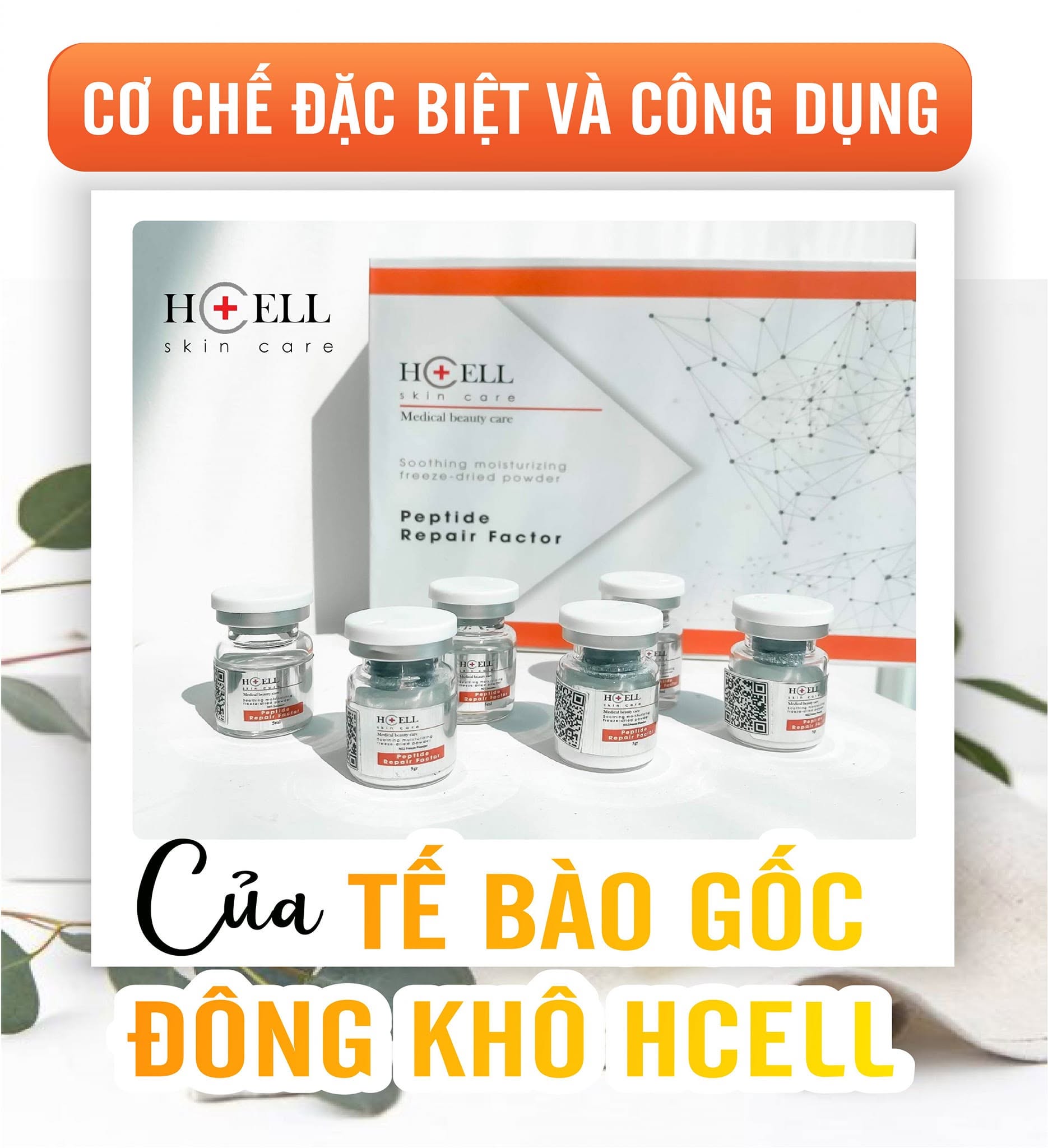 Tế Bào Gốc Hcell Đông Khô Peptide Repair Factor nuôi dưỡng, tái tạo phục hồi da