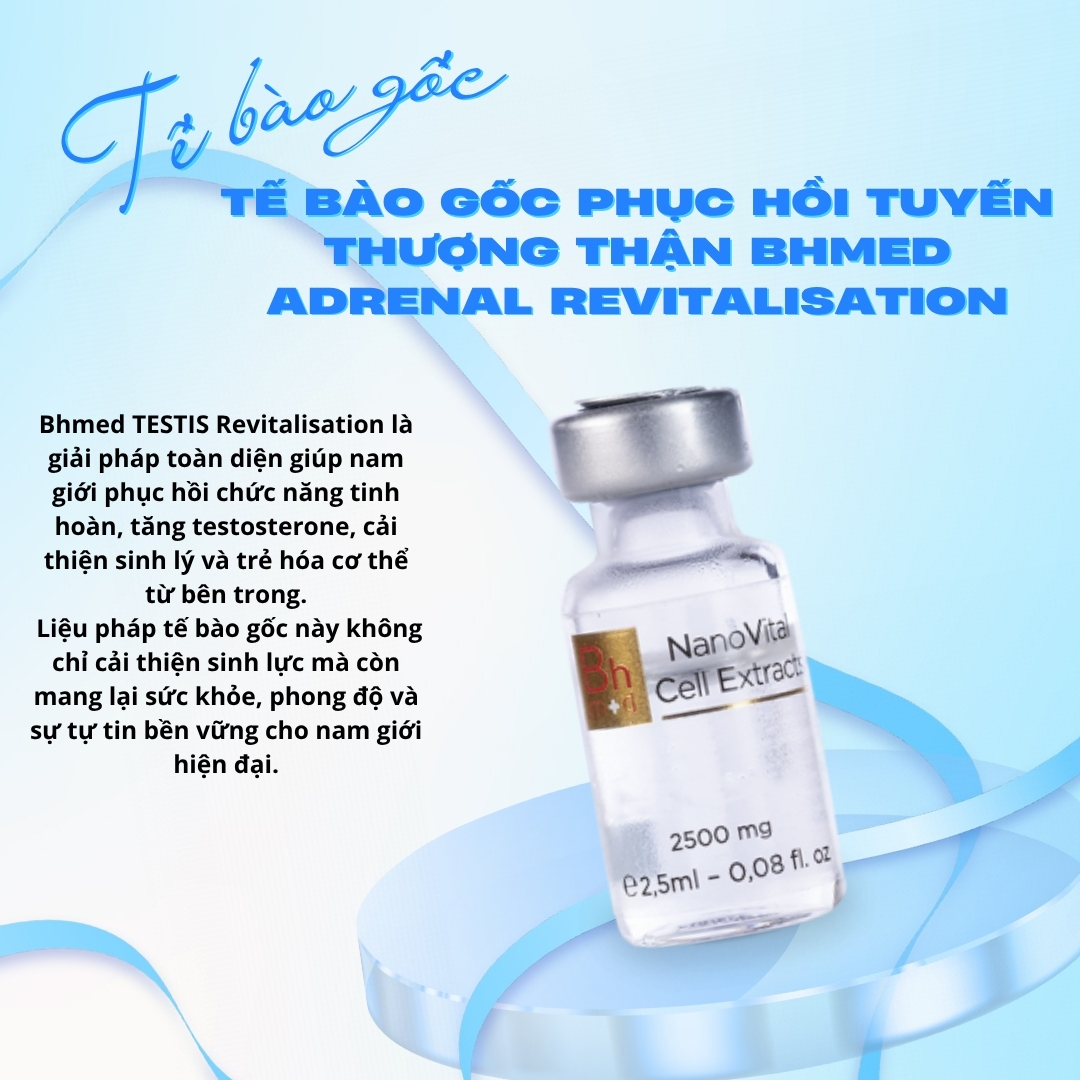 Tế Bào Gốc Phục Hồi Tuyến Thượng Thận Bhmed ADRENAL Revitalisation