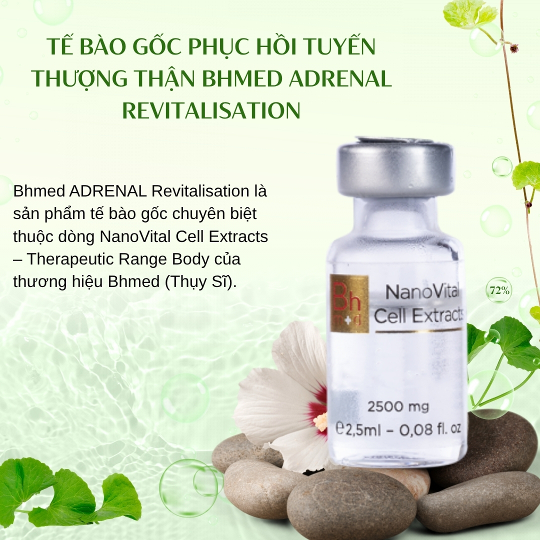 Tế Bào Gốc Phục Hồi Tuyến Thượng Thận Bhmed ADRENAL Revitalisation