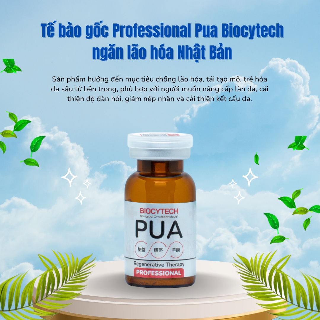Tế bào gốc Professional Pua Biocytech ngăn lão hóa Nhật Bản