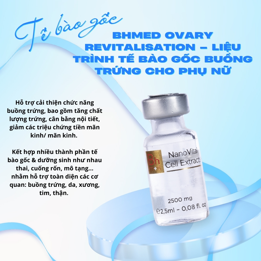 Tế bào gốc buồng trứng cho phụ nữ Bhmed OVARY Revitalisation