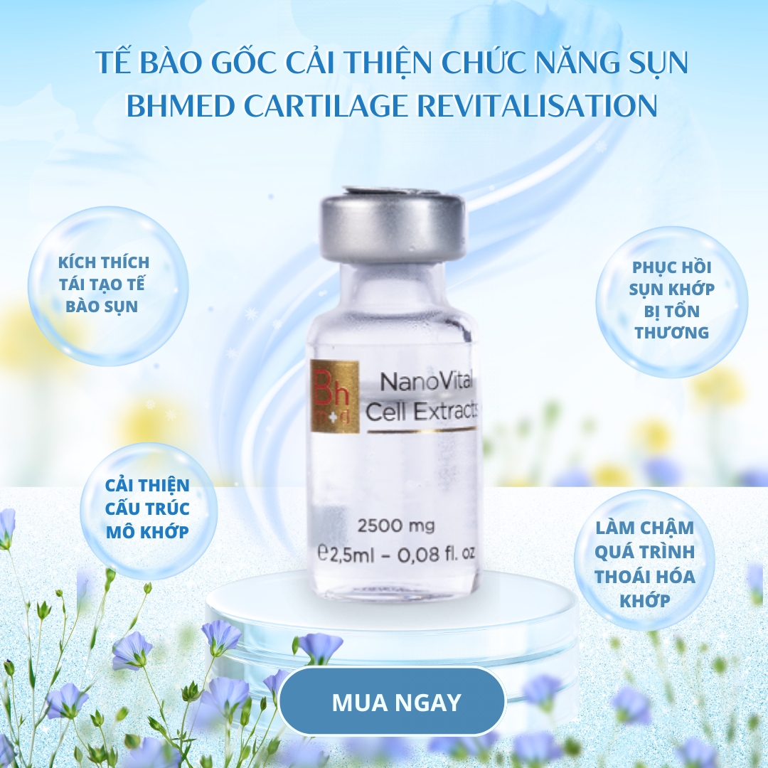 Tế bào gốc cải thiện chức năng Sụn Bhmed CARTILAGE Revitalisation