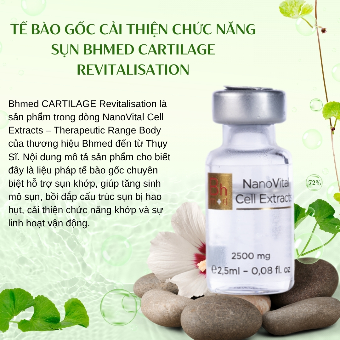 Tế bào gốc cải thiện chức năng Sụn Bhmed CARTILAGE Revitalisation