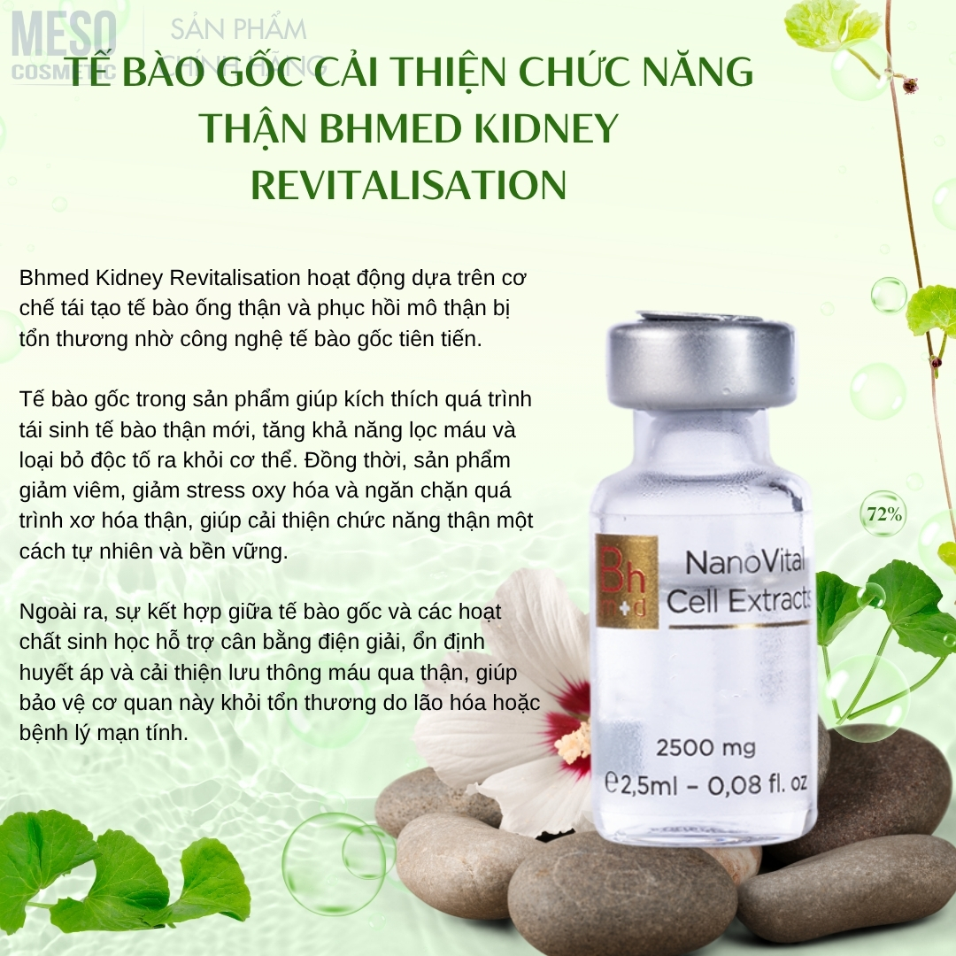 Tế bào gốc cải thiện chức năng thận Bhmed Kidney Revitalisation