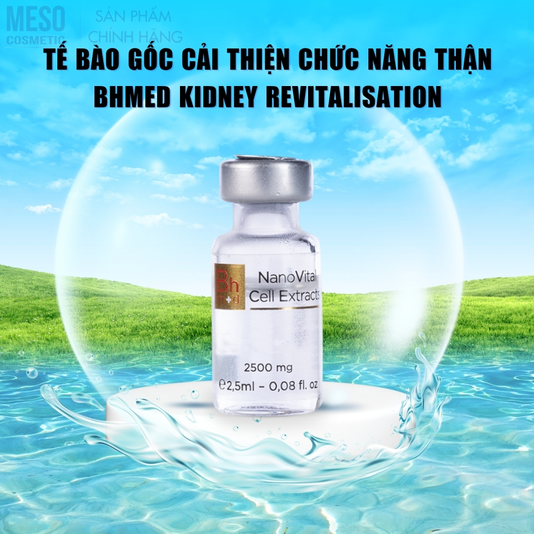 Tế bào gốc cải thiện chức năng thận Bhmed Kidney Revitalisation