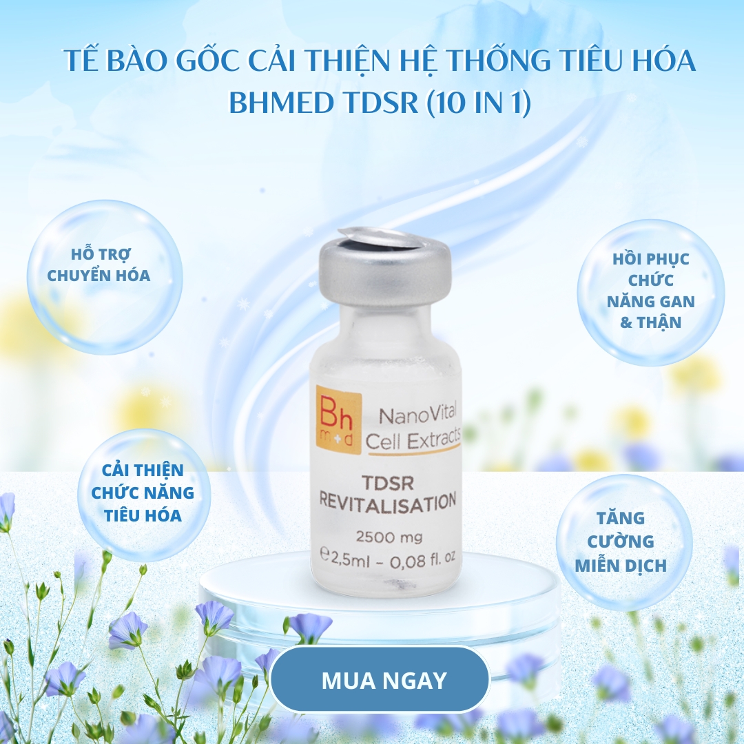 Tế bào gốc cải thiện hệ thống tiêu hóa Bhmed TDSR (10 in 1)