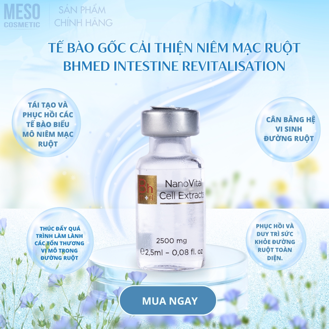 Tế bào gốc cải thiện niêm mạc ruột Bhmed Intestine Revitalisation