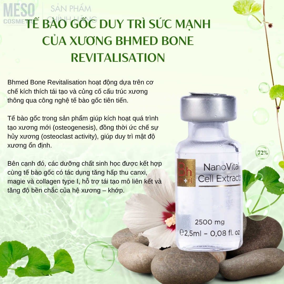 Tế bào gốc duy trì sức mạnh của Xương Bhmed Bone Revitalisation