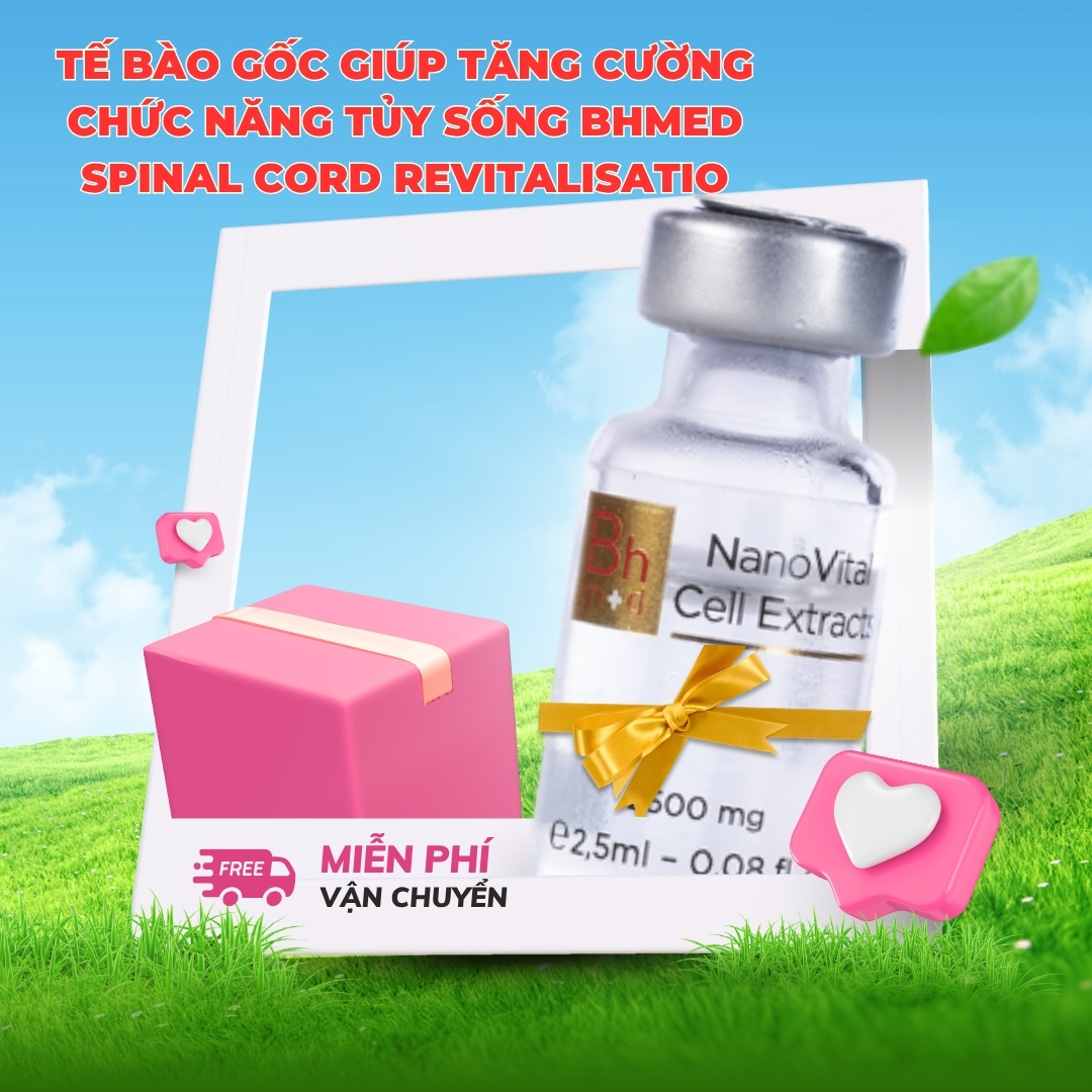 Tế bào gốc giúp tăng cường chức năng Tủy sống Bhmed SPINAL CORD Revitalisatio