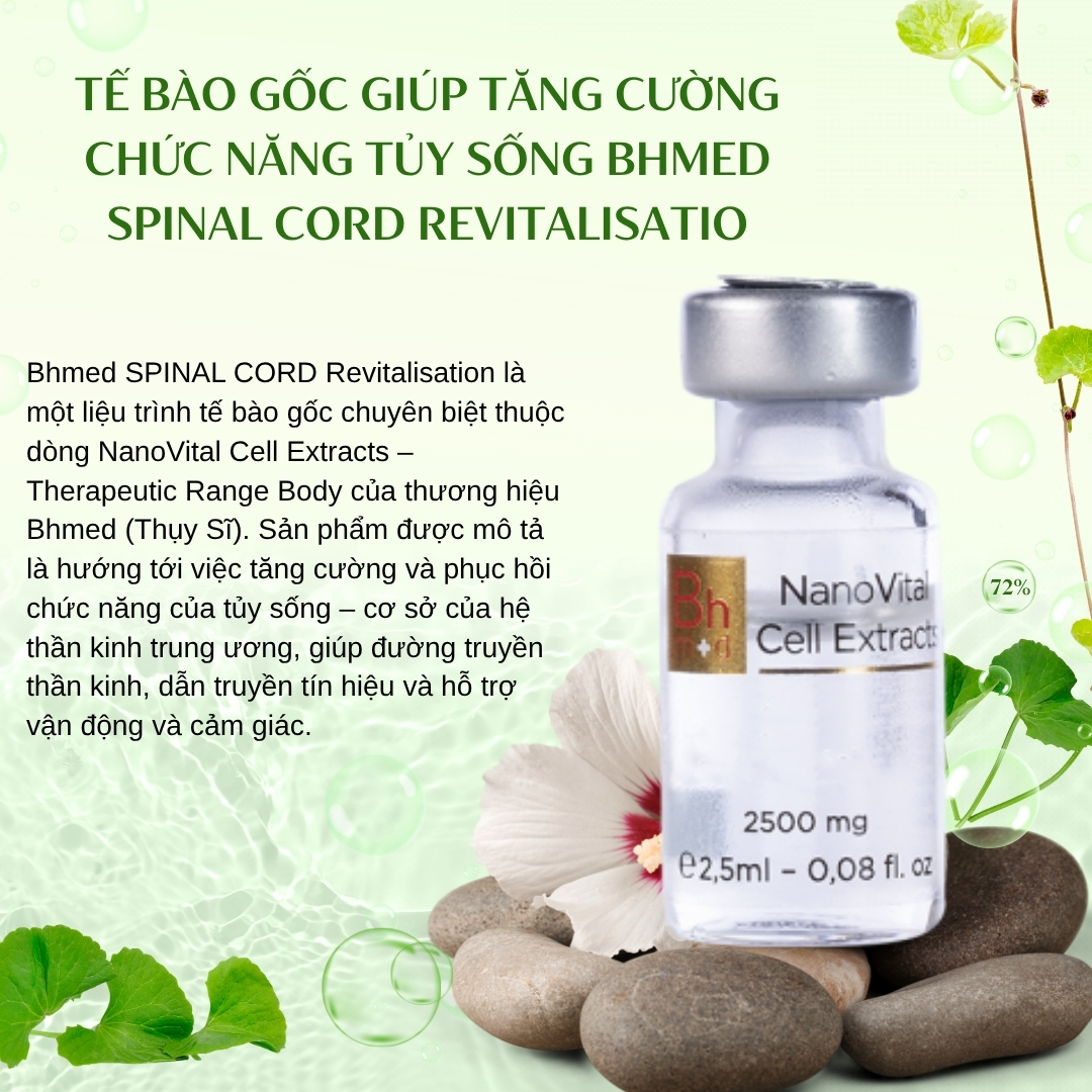 Tế bào gốc giúp tăng cường chức năng Tủy sống Bhmed SPINAL CORD Revitalisatio