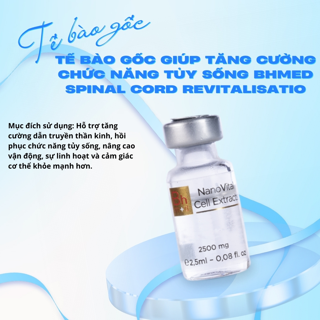 Tế bào gốc giúp tăng cường chức năng Tủy sống Bhmed SPINAL CORD Revitalisatio