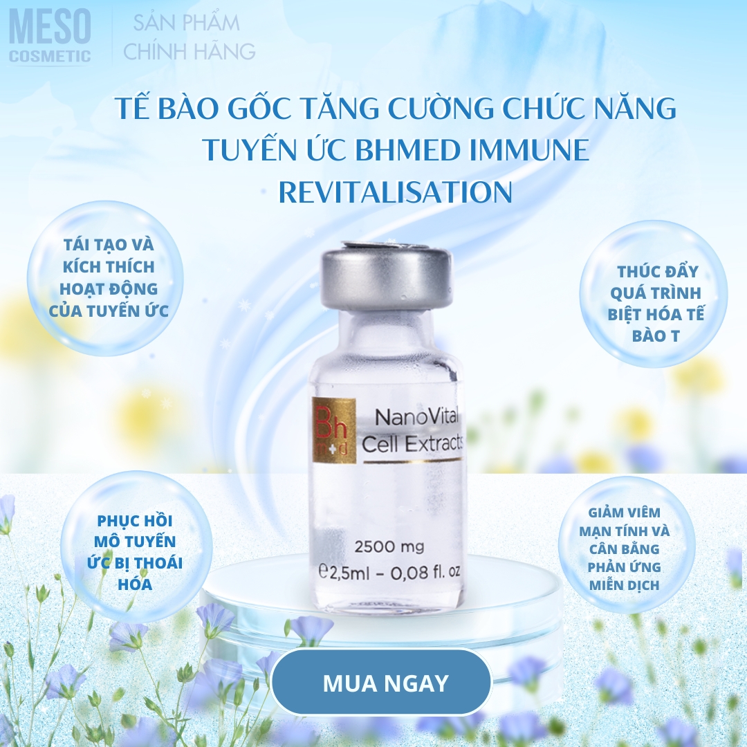 Tế bào gốc tăng cường chức năng tuyến ức Bhmed Immune Revitalisation