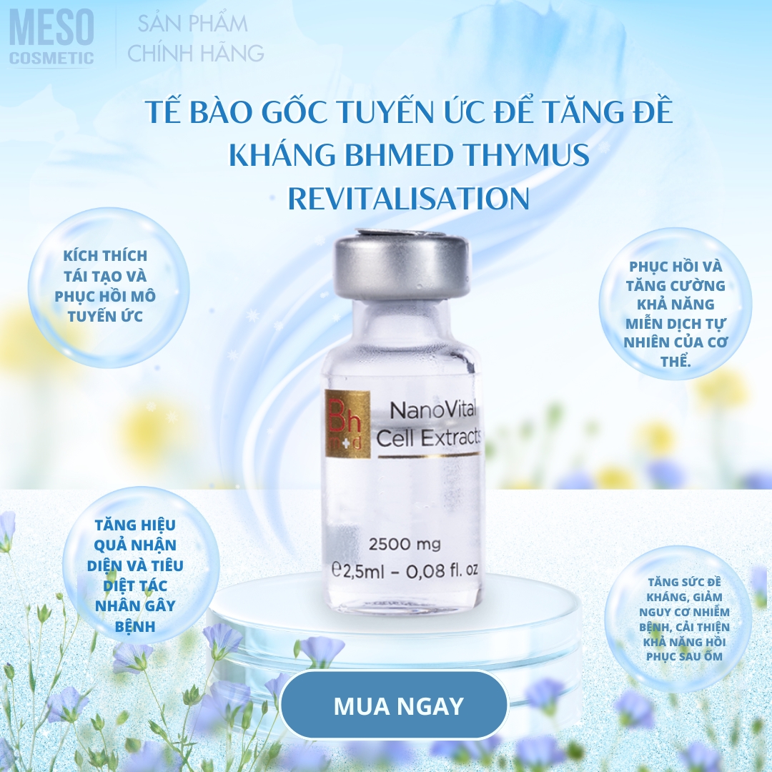 Tế bào gốc tuyến ức để tăng đề kháng Bhmed THYMUS Revitalisation