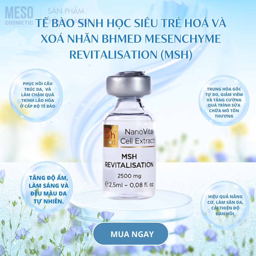Tế bào sinh học siêu trẻ hoá và xoá nhăn Bhmed MESENCHYME REVITALISATION (MSH)