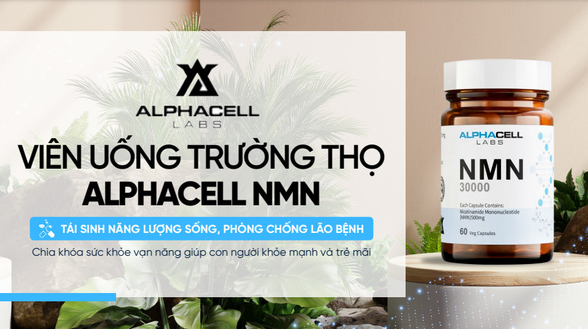 Thực phẩm bổ sung Nicotinamide Mononucleotide AlphaCell Labs NMN 500mg