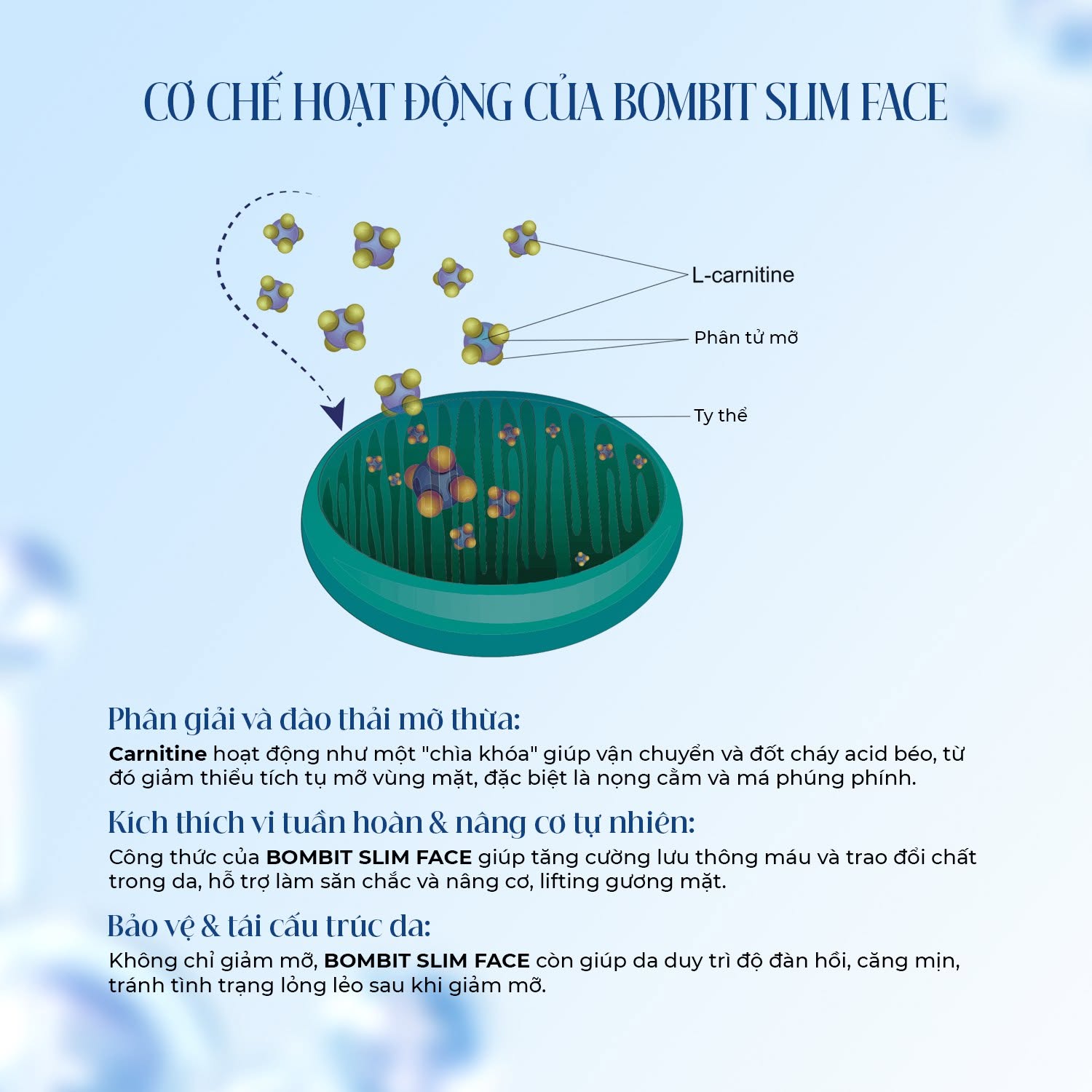 Tinh Chất Thon Gọn Mặt, Hỗ Trợ Giảm Mỡ Má Và Nọng Cằm BOMBIT Slim Face