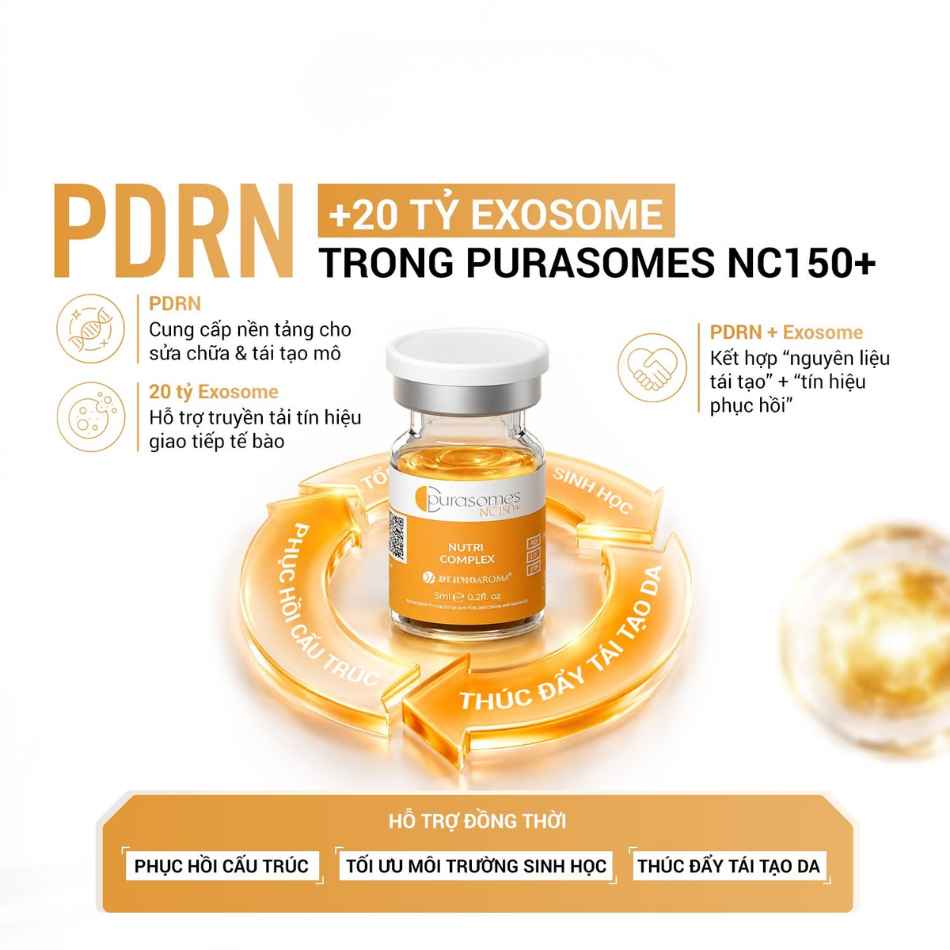 Tinh chất phục hồi tái tạo sửa chữa da toàn diện Dermaoaroma Purasomes NC150+ Nutri Complex