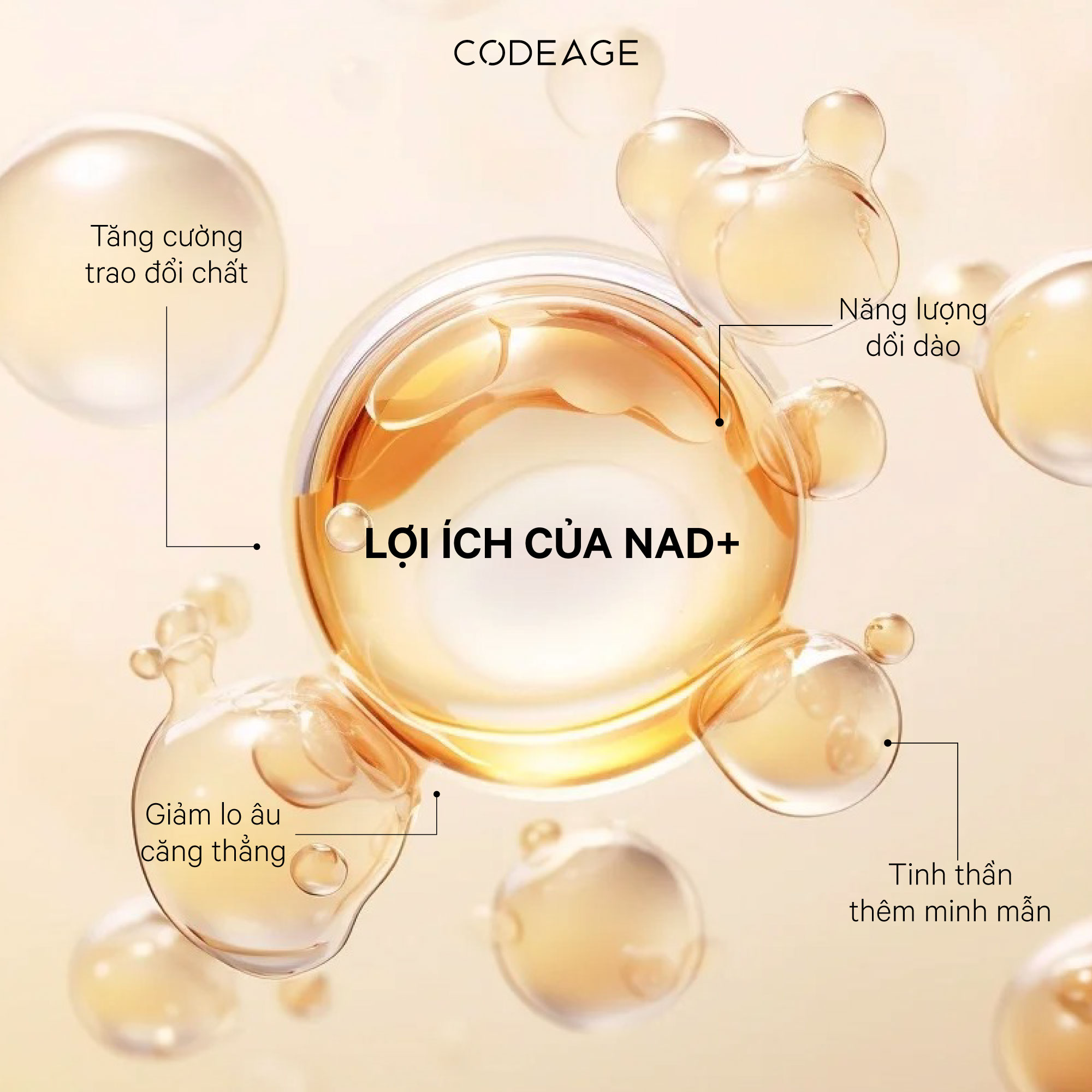 Viên uống trẻ hóa da chống lão hóa Codeage Liposomal NMN 90 viên