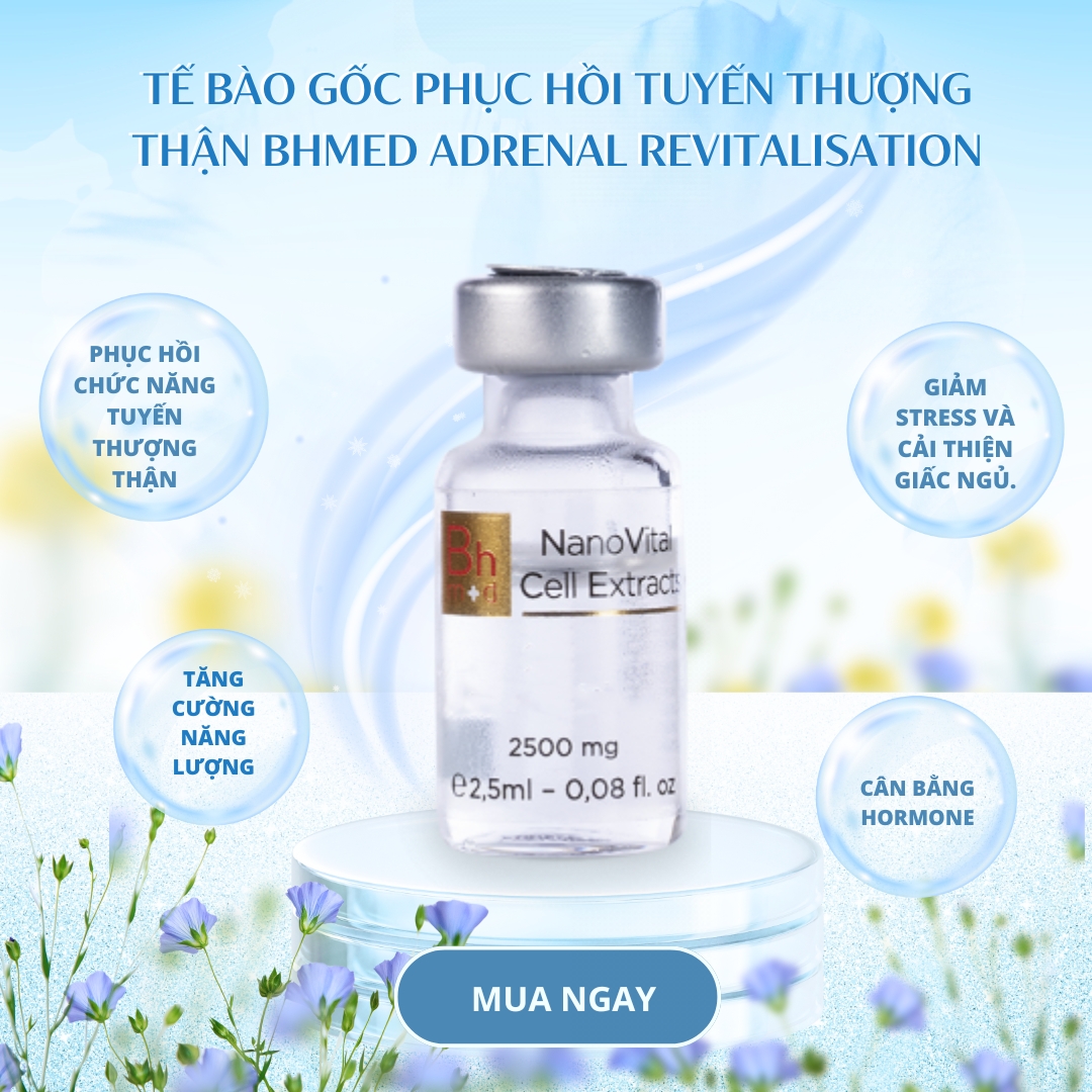 Te-Bao-Goc-Phuc-Hoi-Tuyen-Thuong-Than-Bhmed-ADRENAL-Revitalisation_Tế bào gốc phục hồi tuyến thượng thận Bhmed ADRENAL Revitalisation 2.jpg