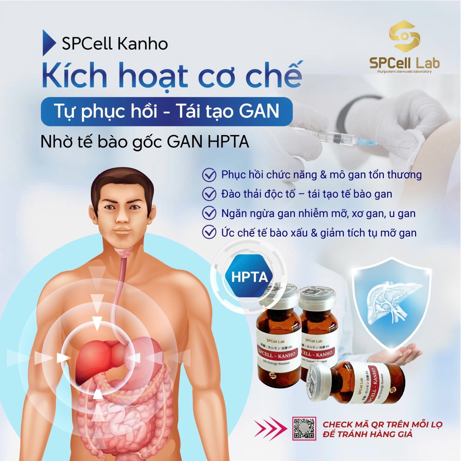 Te-bao-goc-bao-ve-chuc-nang-gan-SPCell-Lab-SPCell-Kanho_Tế bào gốc bảo vệ chức năng gan SPCell Lab SPCell-Kanho 2.jpg