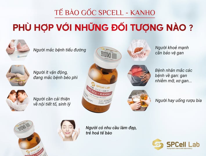 Te-bao-goc-bao-ve-chuc-nang-gan-SPCell-Lab-SPCell-Kanho_Tế bào gốc bảo vệ chức năng gan SPCell Lab SPCell-Kanho-1.jpg