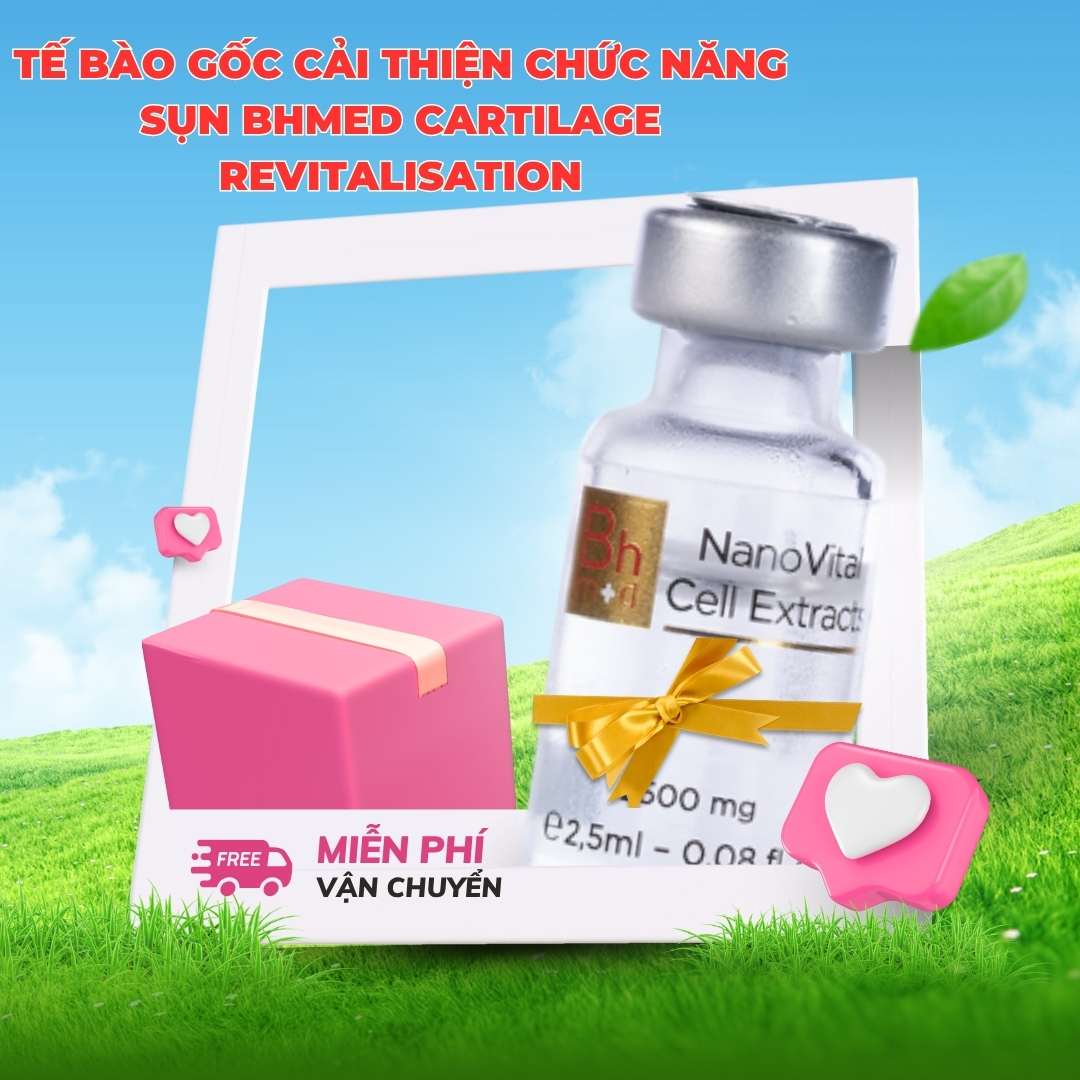 Te-bao-goc-cai-thien-chuc-nang-Sun-Bhmed-CARTILAGE-Revitalisation_Tế bào gốc cải thiện chức năng Sụn Bhmed CARTILAGE Revitalisation 1.jpg