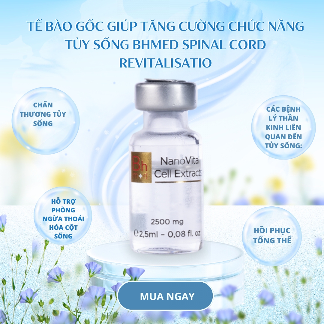 Te-bao-goc-giup-tang-cuong-chuc-nang-Tuy-song-Bhmed-SPINAL-CORD-Revitalisatio_Tế bào gốc giúp tăng cường chức năng Tủy sống Bhmed SPINAL CORD Revitalisatio 2.jpg