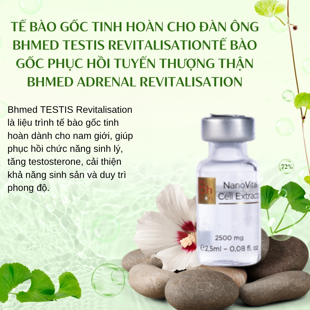 Te-bao-goc-tinh-hoan-cho-dan-ong-Bhmed-TESTIS-Revitalisation_Tế bào gốc tinh hoàn cho đàn ông Bhmed TESTIS Revitalisation.jpg