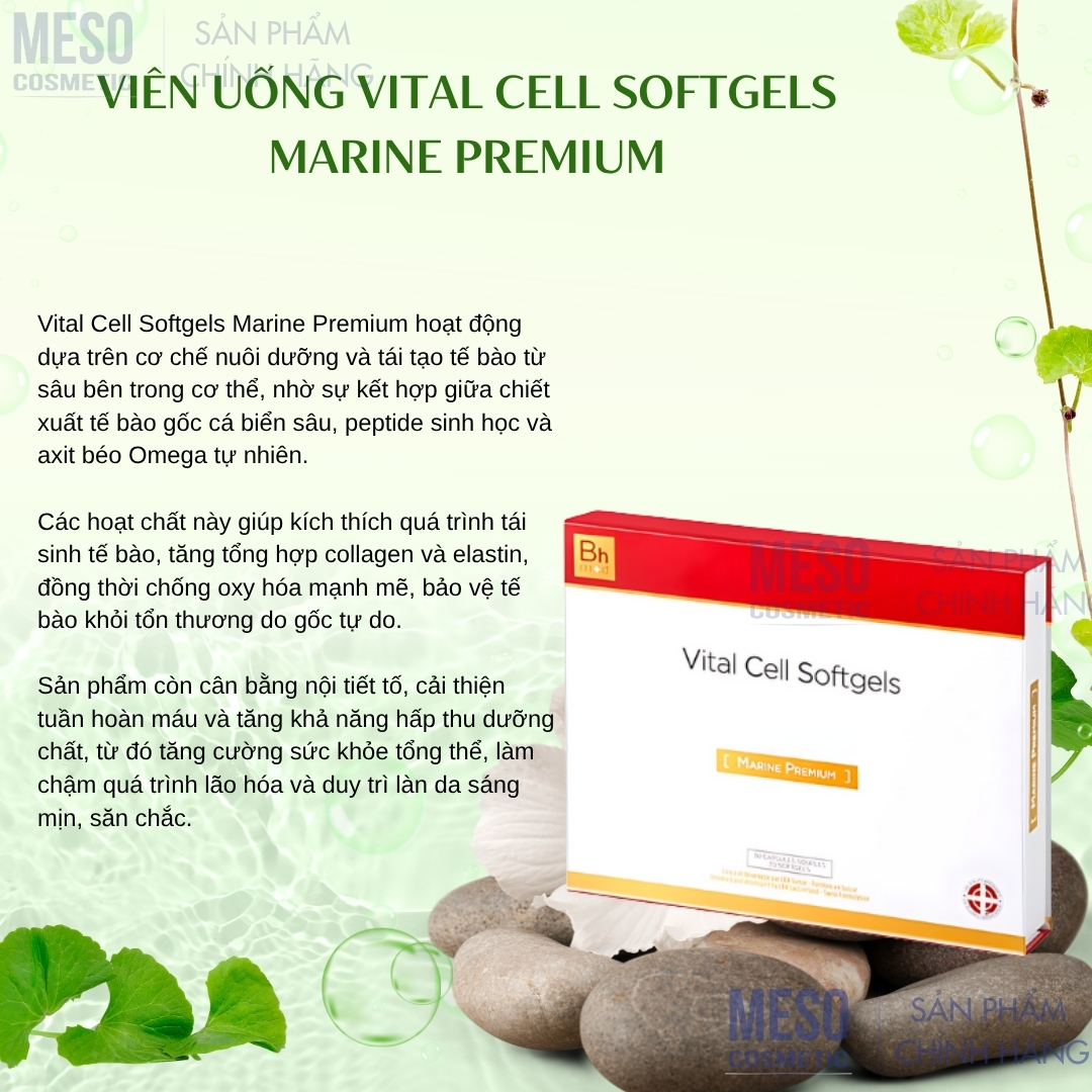 Vien-Uong-Vital-Cell-Softgels-Marine-Premium_Viên Uống Vital Cell Softgels Marine Premium-1.jpg