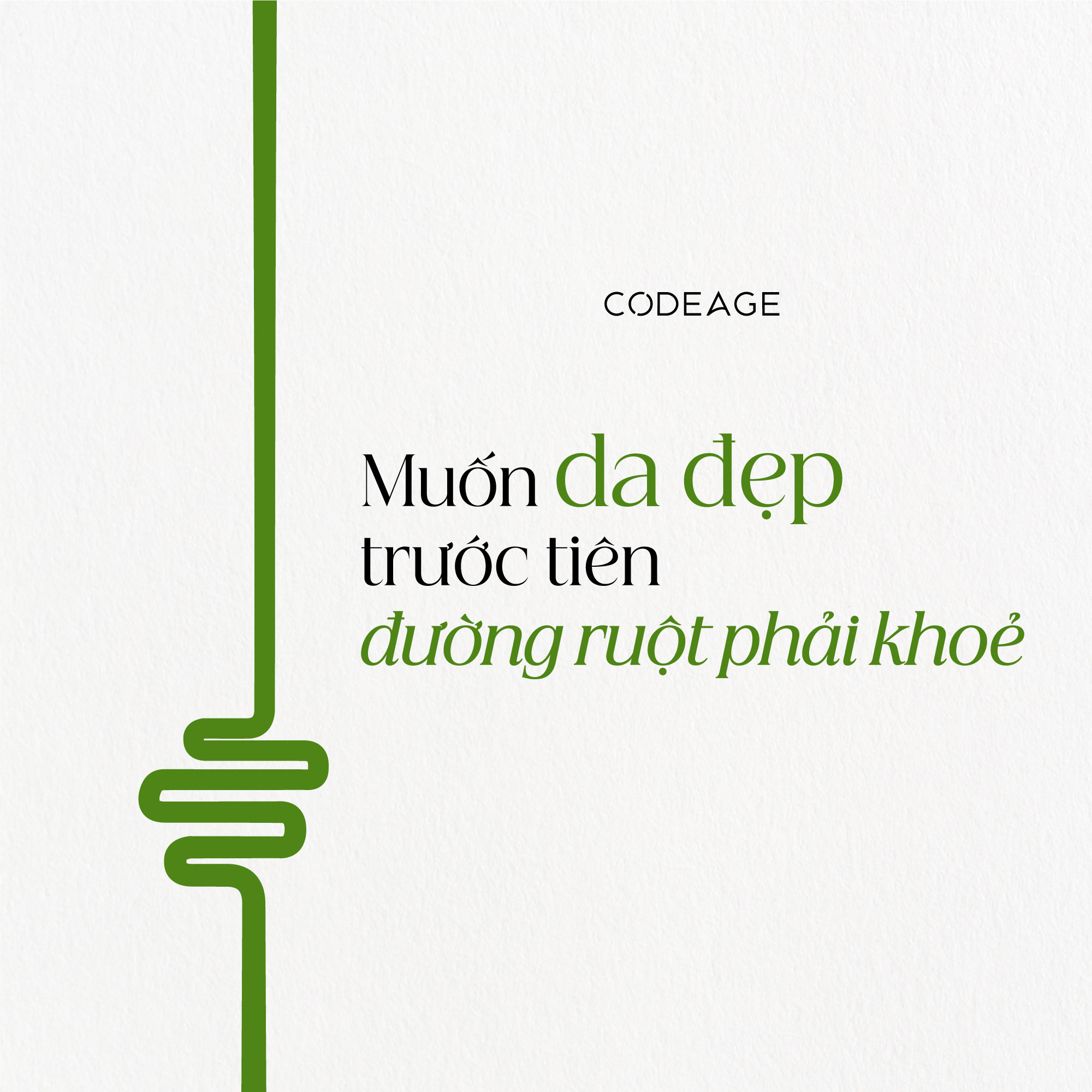 Vien-loi-khuan-can-bang-vi-sinh-lam-dep-da-Codeage-Skin-Probiotic-lo-60-vien_Muốn Da Đẹp Trước Tiên Đường Ruột Phải Khỏe.png