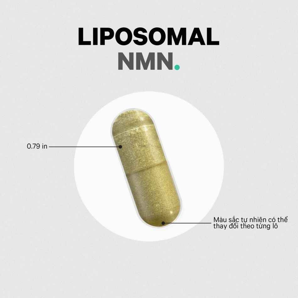 Viên uống trẻ hóa, chống lão hóa da Codeage Liposomal NMN (3).jpg