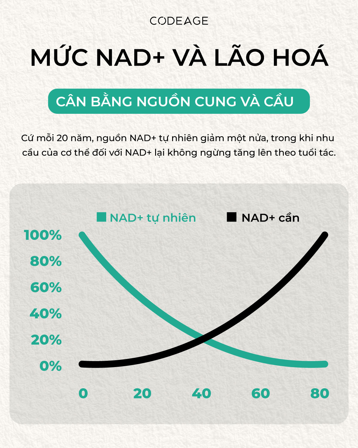 Vien-uong-tre-hoa-da-chong-lao-hoa-Codeage-Liposomal-NMN-90-vien_Viên uống trẻ hóa da chống lão hóa Codeage Liposomal NMN 90 viên 2.jpg