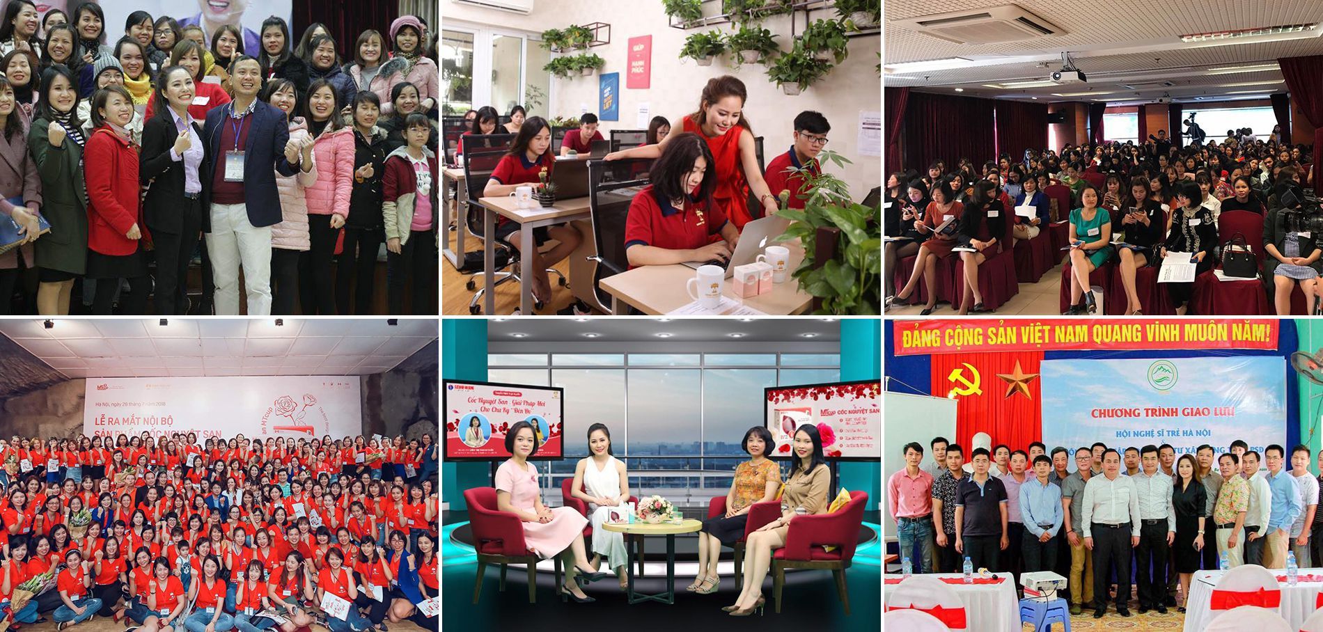 Hoạt động của công ty 3