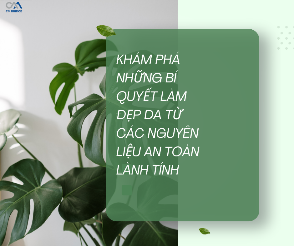 Khám phá những bí quyết làm đẹp da từ các nguyên liệu an toàn lành tính