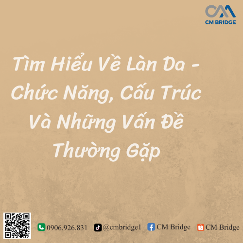 Tìm Hiểu Về Làn Da - Chức Năng, Cấu Trúc Và Những Vấn Đề Thường Gặp