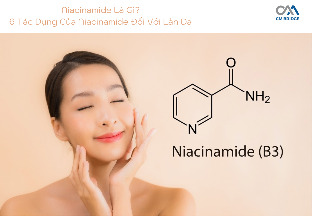 Niacinamide Là Gì? 6 Tác Dụng Của Niacinamide Đối Với Làn Da