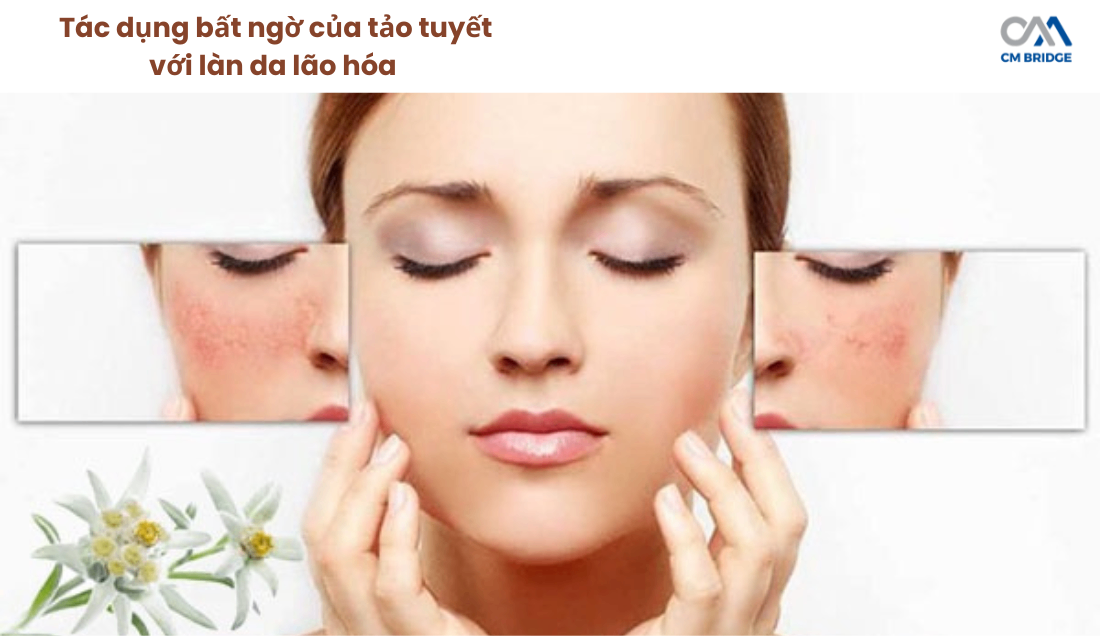 Tác dụng bất ngờ của tảo tuyết với làn da lão hóa