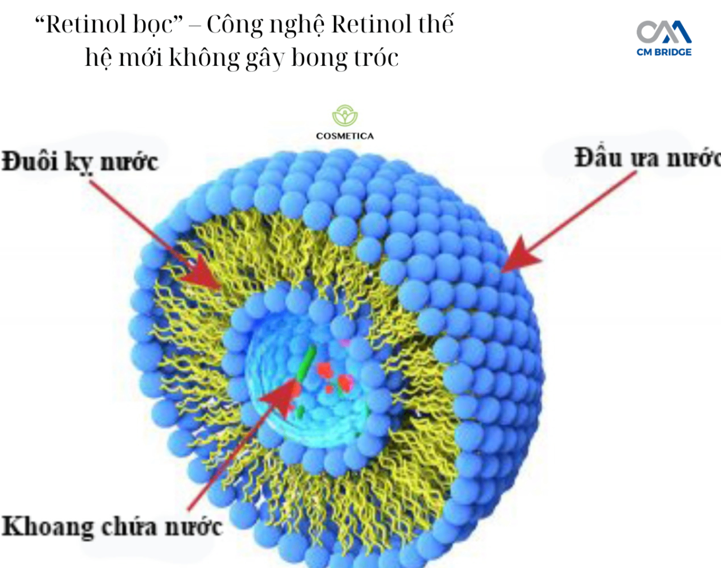 “Retinol bọc” – Công nghệ Retinol thế hệ mới không gây bong tróc