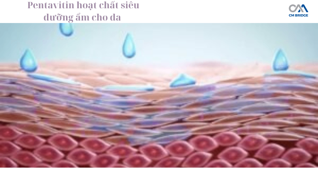 Pentavitin hoạt chất siêu dưỡng ẩm cho da