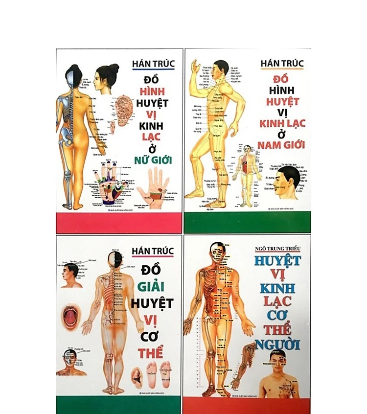 Huyệt vị kinh lạc cơ thể người - Bộ 4 cuốn (Huyệt vị - Đồ giải - Đồ hình Huyệt vị kinh lạc ở Nam giới & Nữ giới)