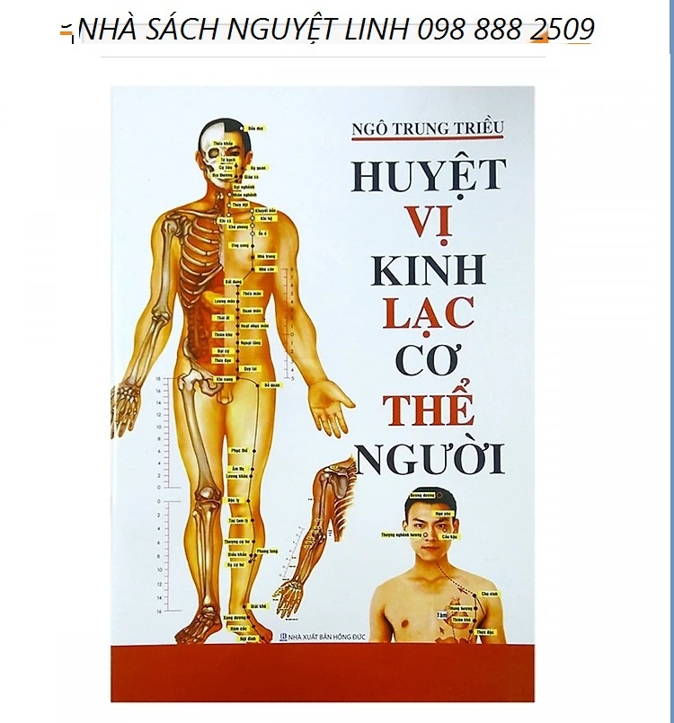 Huyệt Vị Kinh Lạc Cơ Thể Người (Tái Bản) - Tác giả: Ngô Trung Triều (nguyetlinhbook)