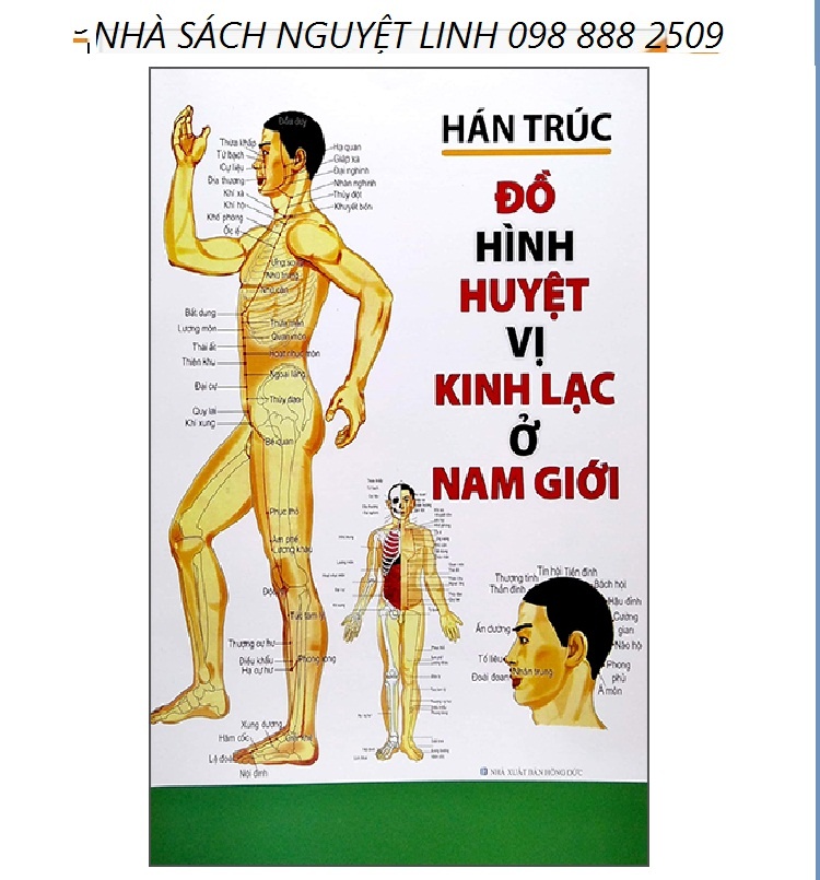 Đồ Hình Huyệt Vị Kinh Lạc Ở Nam Giới - Tác giả:Hán Trúc (nguyetlinhbook)