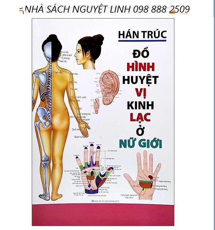 Đồ Hình Huyệt Vị Kinh Lạc Ở Nữ Giới - Tác giả: Hán Trúc (nguyetlinhbook)