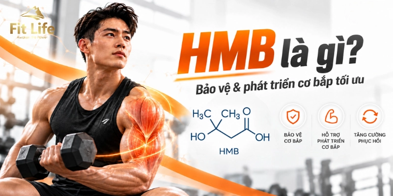 Hoạt chất HMB là gì? Bí quyết bảo vệ cơ bắp tối ưu