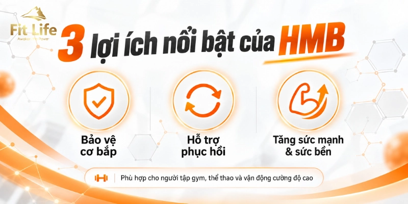 Tác dụng của HMB
