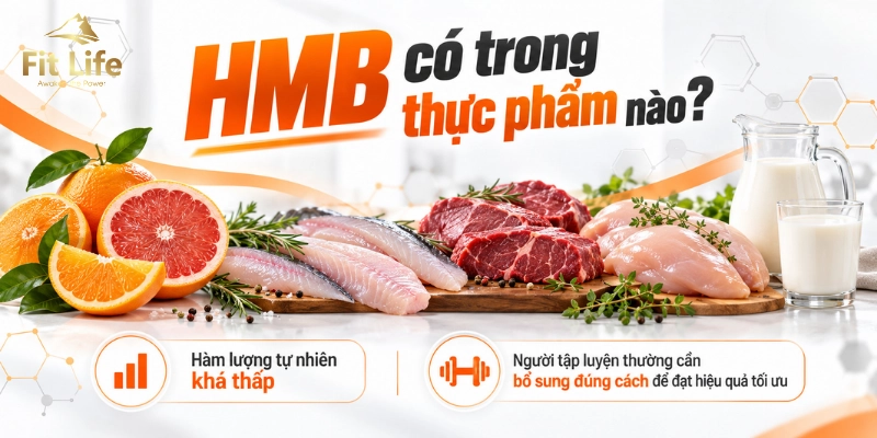 Thực phẩm chứa hoạt chất HMB