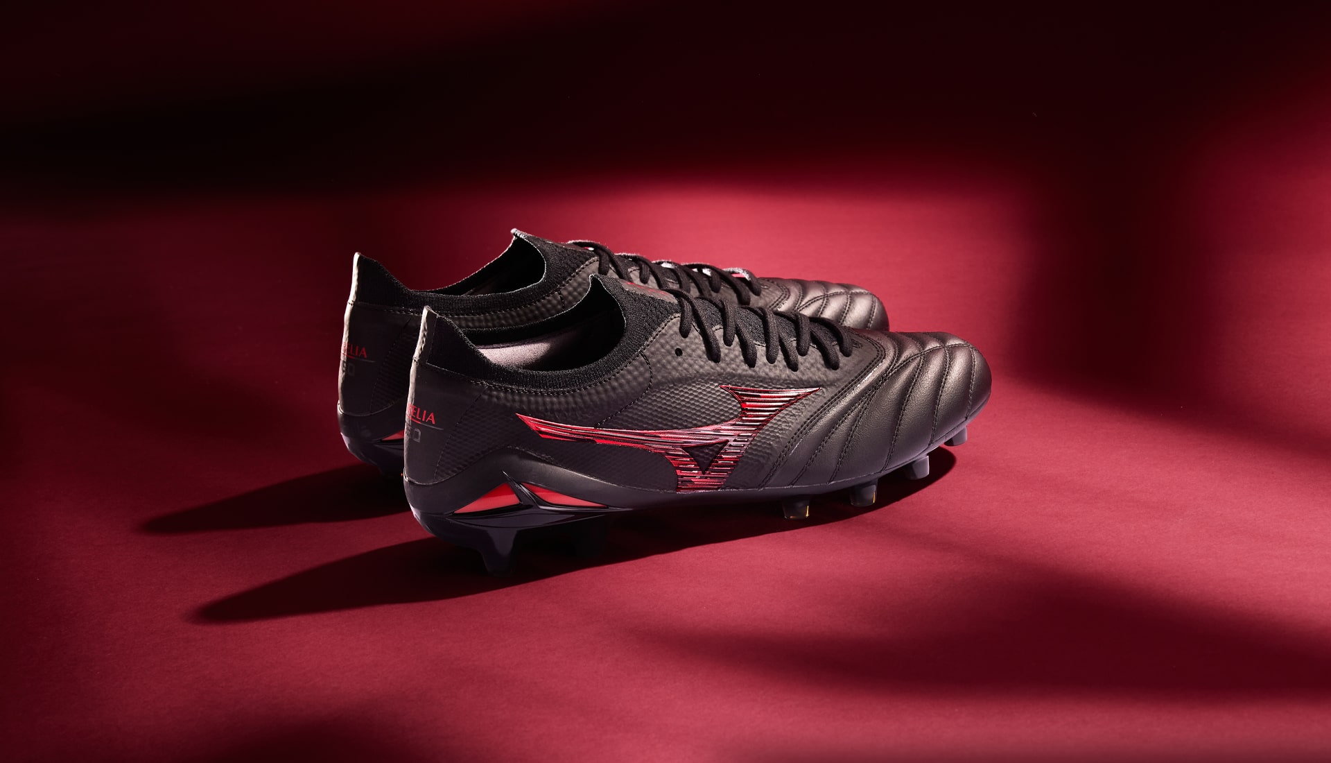 Morelia Neo IV β Japan