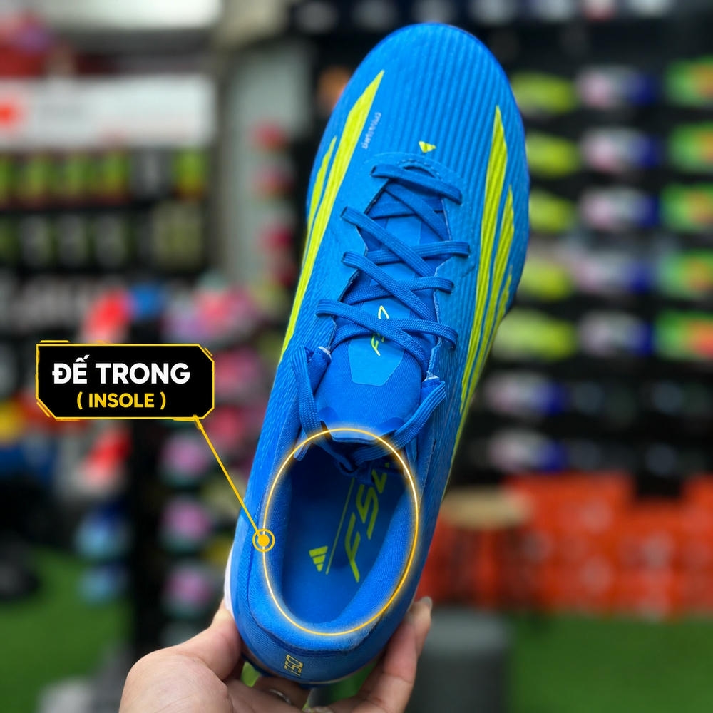 Đế trong (Insole)