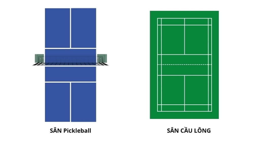 So-sanh-Pickleball-va-Cau-long-2-.jpg