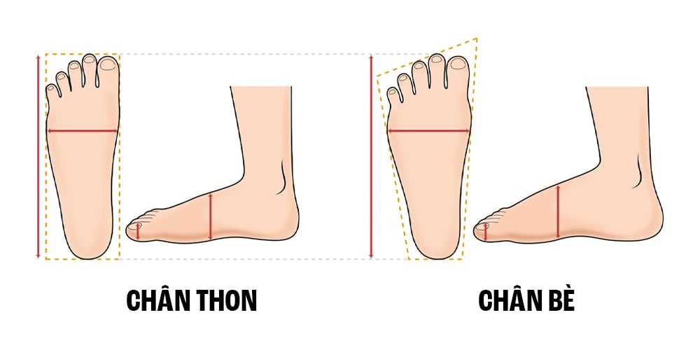 Chọn giày theo form chân & chiều dài chân